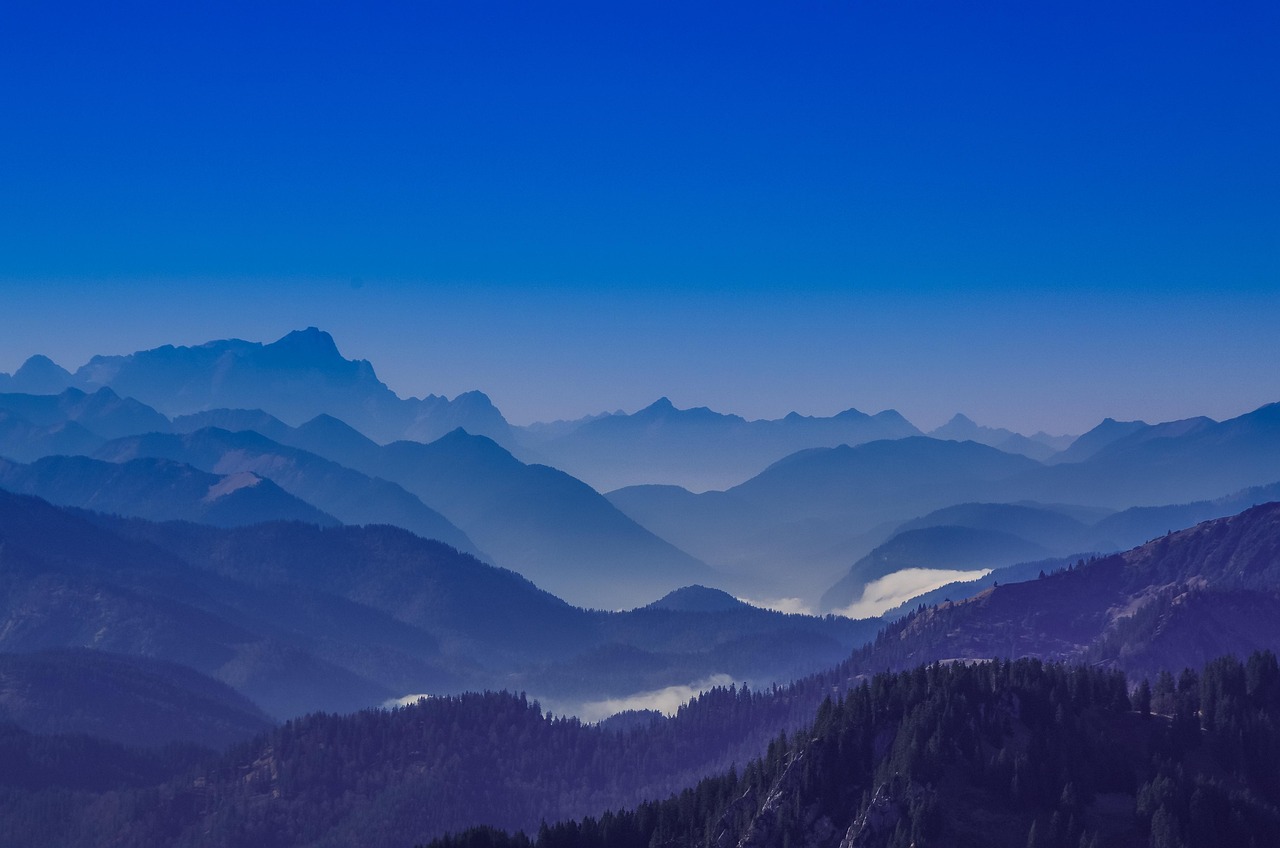 DDOS在线攻击平台|美国外汇开户平台