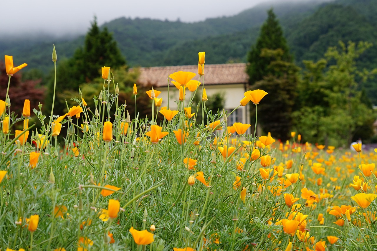 僵尸网络攻击持续升级,哪些行业更易成为被盗窃对象?