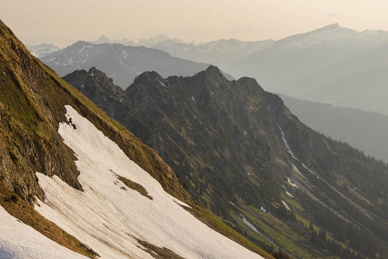 使用COVID-19进行信息性排名优化